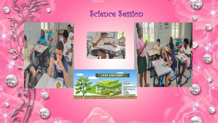 February Photo Album_page-0003