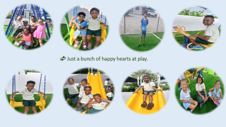 Flamingo Album Year 2 Feb 2026_page-0003