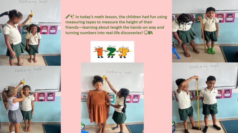 Flamingo Album Year 2 Feb 2026_page-0008