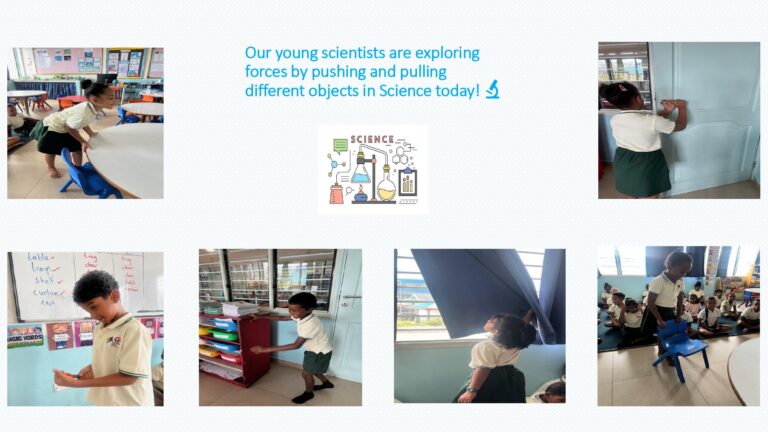 Flamingo Album Year 2 Feb 2026_page-0009