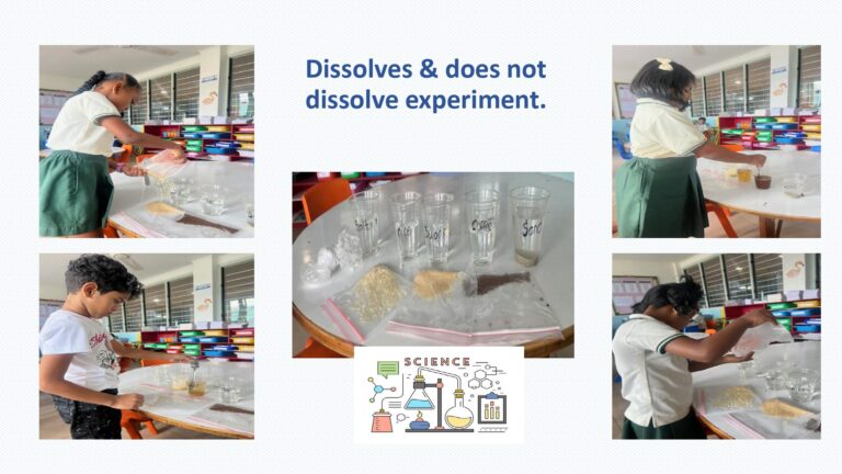 Photo album January 2026_page-0010